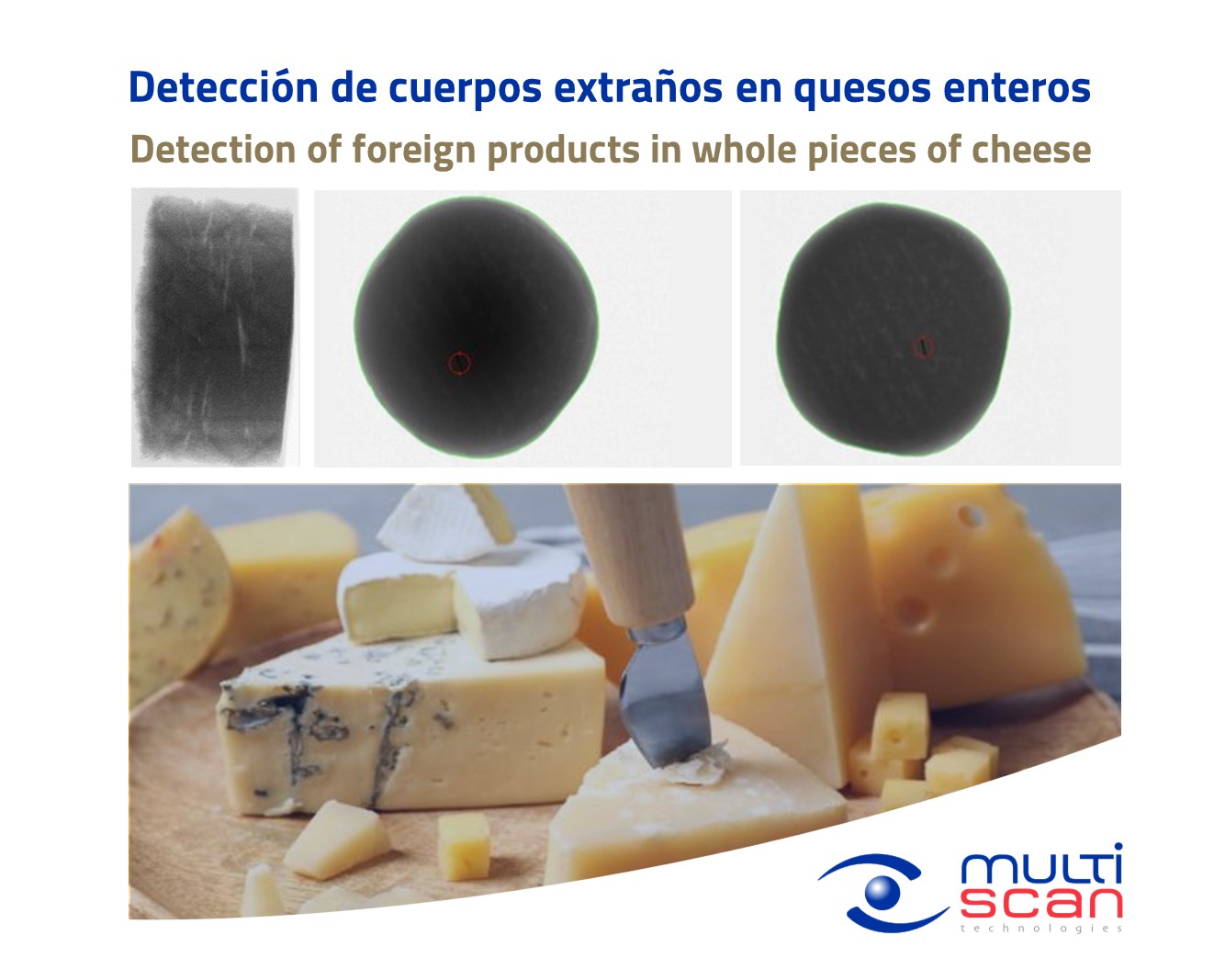 Detección de cuerpos extraños en quesos enteros
