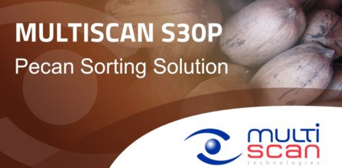 Multiscan S30P, selección por calidad de nuez pecana con cáscara