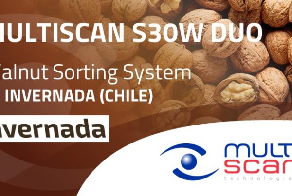 Multiscan S30W Duo en las instalaciones de La Invernada (Chile)