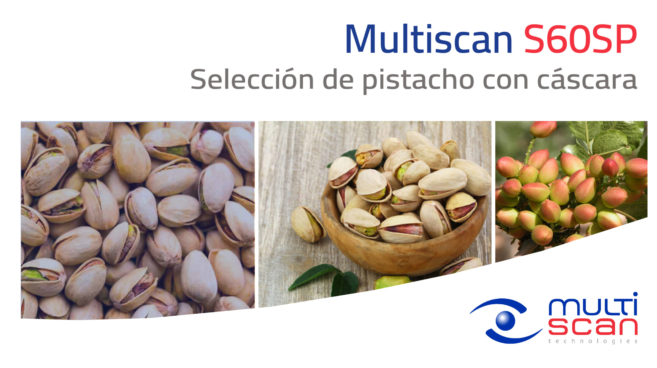 Selección por calidad del pistacho con la tecnología avanzada de Multiscan Technologies