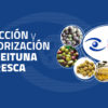 Multiscan Technologies presenta su nuevo catálogo para la clasificación de aceituna fresca para la campaña de verdeo