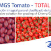 The most advanced cherry tomato sorting for the detection of quality problems at the ends of the product by Multiscan Technologies