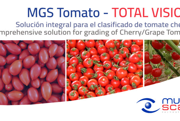 The most advanced cherry tomato sorting for the detection of quality problems at the ends of the product by Multiscan Technologies