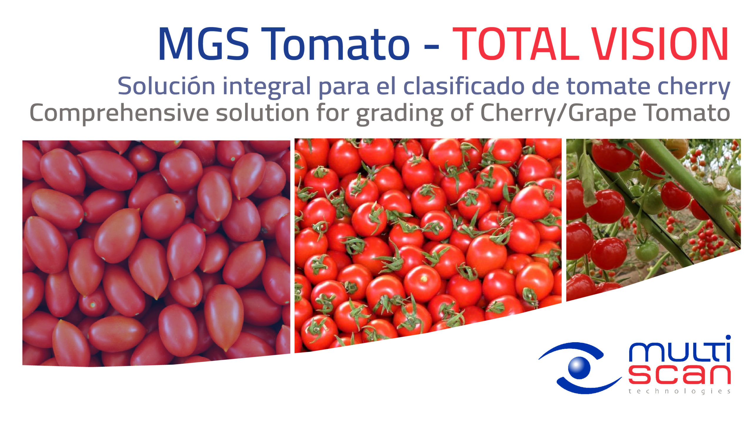 MULTISCAN TECHNOLOGIES y su tecnología TOTAL VISION para la detección avanzada de defectos en tomate cherry