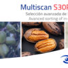 Multiscan solutions for pecan sorting by quality