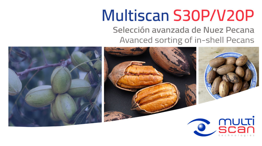 Descubra la última tecnología de Multiscan Technologies para la clasificación por calidad de nuez pecana con cáscara