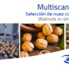 Soluciones de Multiscan Technologies para la clasificación de nuez