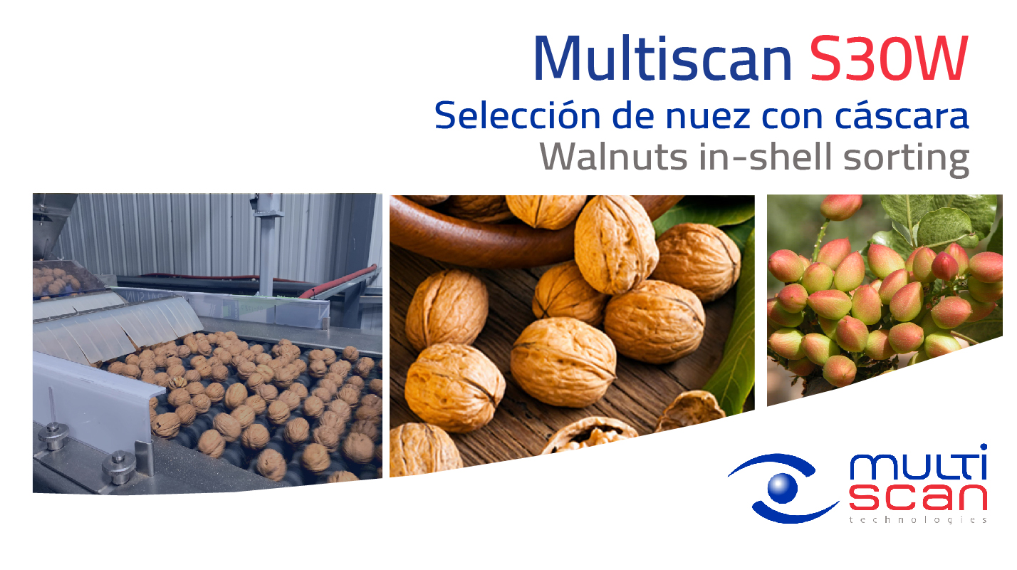 Walnut sorting with Multiscan Technologies solutions
