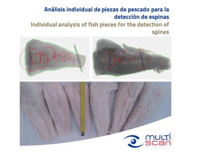 Análisis individual de piezas de pescado para la detección de espinas